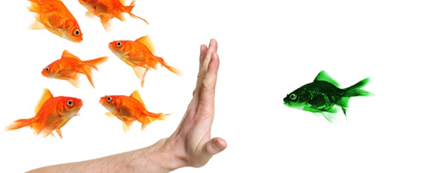 pesci rossi nuotano in uno spazio bianco mentre una mano blocca il passaggio ad un pesce rosso di colore verde 