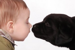 bambino e cane